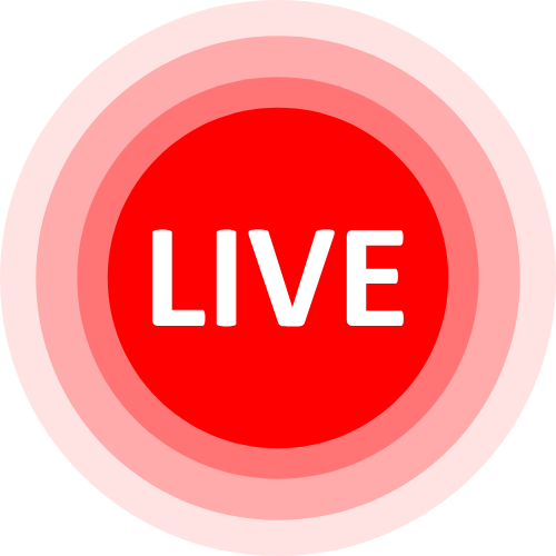 Nikkisilk Cam